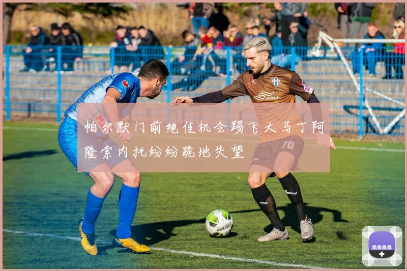 帕尔默门前绝佳机会踢飞大马丁阿隆索内托纷纷跪地失望