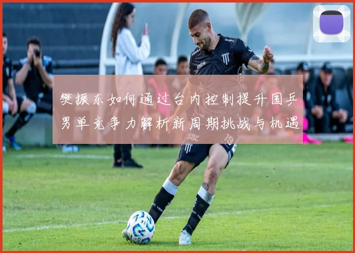 樊振东如何通过台内控制提升国乒男单竞争力解析新周期挑战与机遇